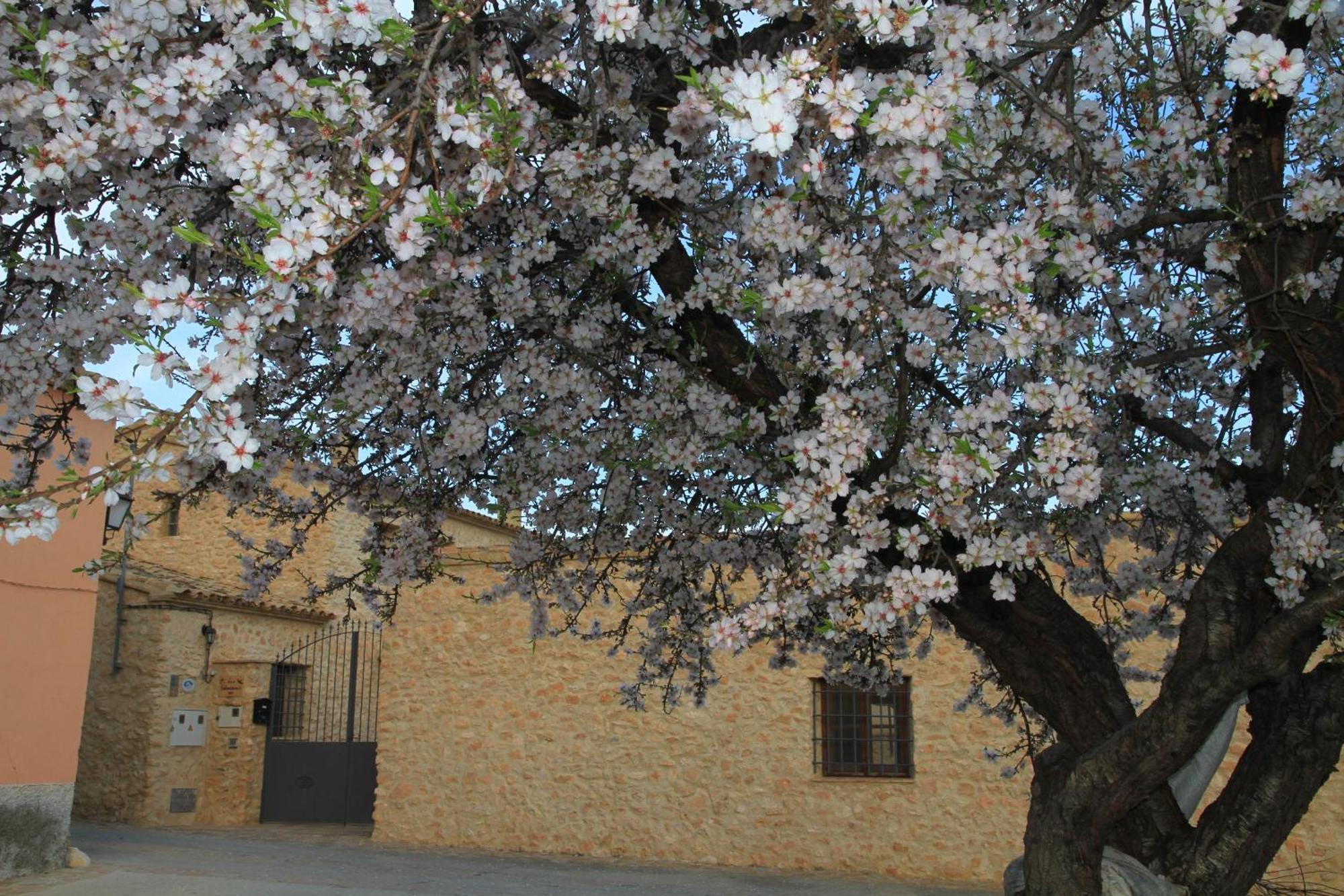 Alojamientos Rurales Cortijo Las Golondrinas Alhama de Murcia Zewnętrze zdjęcie