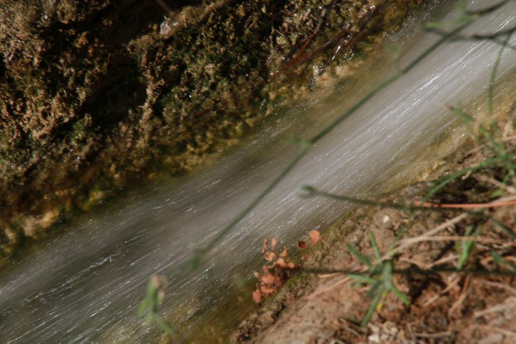 Alojamientos Rurales Cortijo Las Golondrinas Alhama de Murcia Zewnętrze zdjęcie