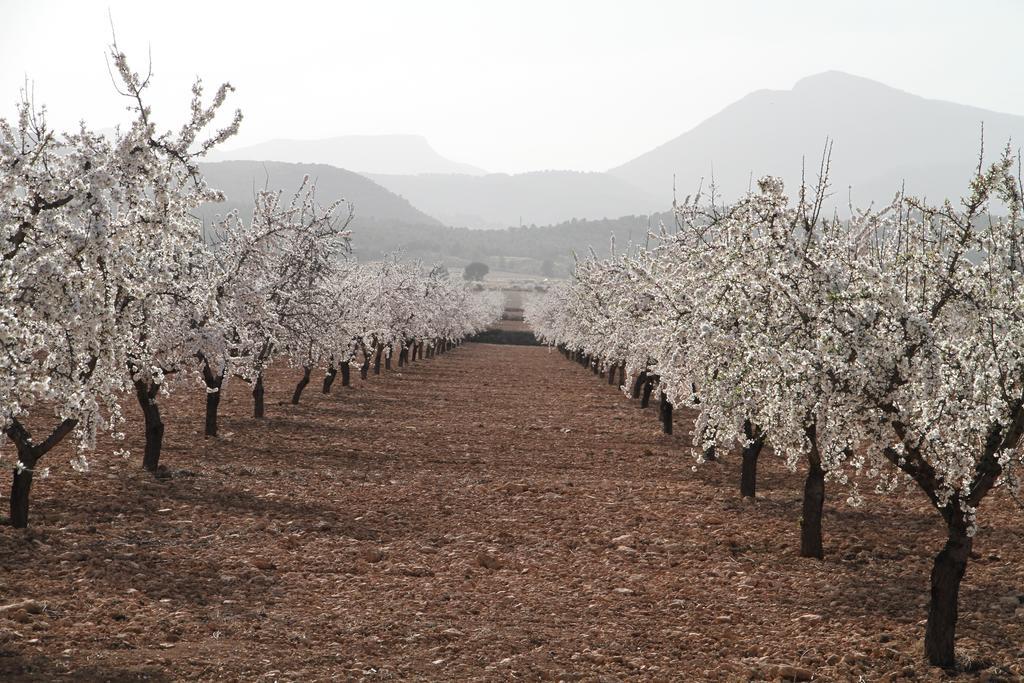 Alojamientos Rurales Cortijo Las Golondrinas Alhama de Murcia Zewnętrze zdjęcie